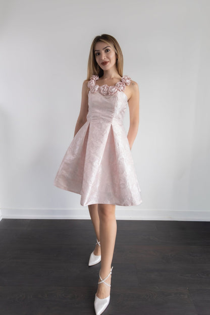 Naya Pink Dress