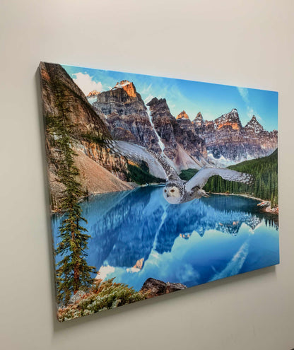 Canvas Wildlife Art-Snowy Owl at Banff-Printed Artwork