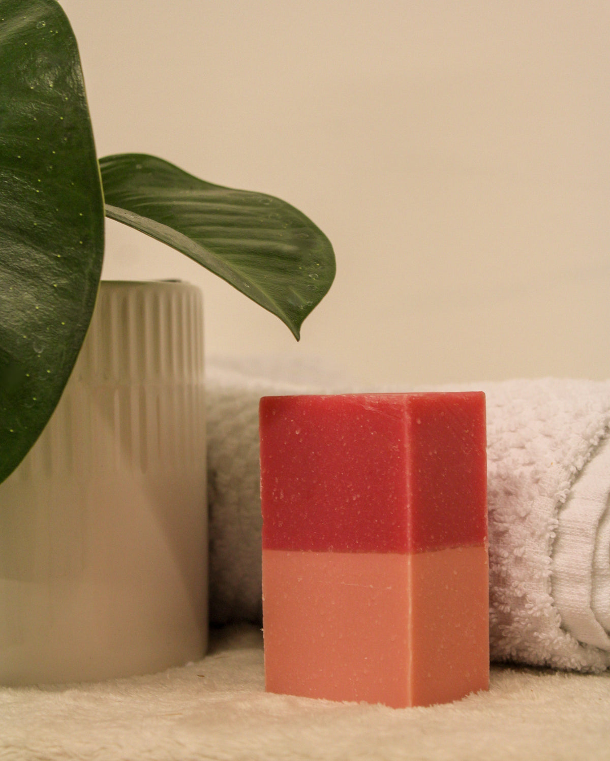 Bar Soap - Watermelon Lemonade