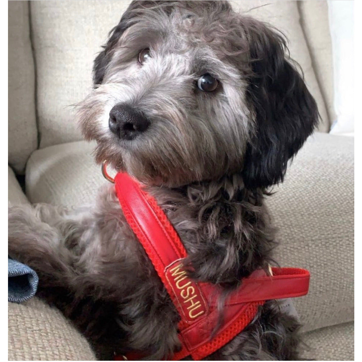 Cherry Red Leather Collar