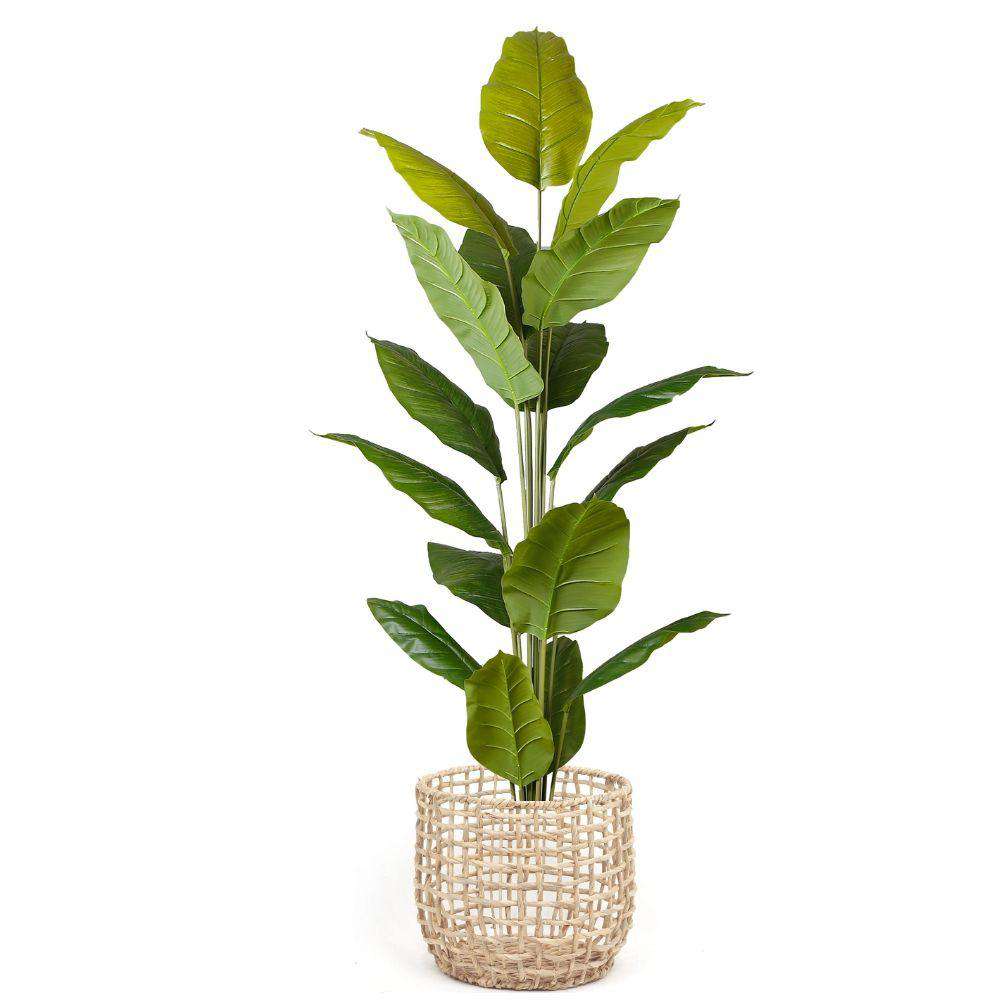 Jardinière Irma jacinthe d'eau