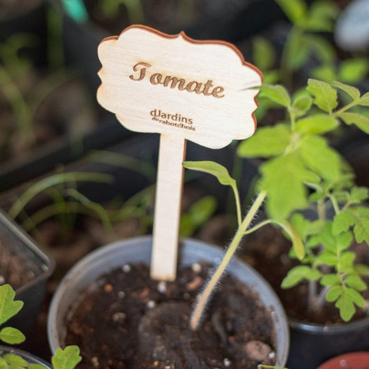 Plant markers for vegetables or herbs
