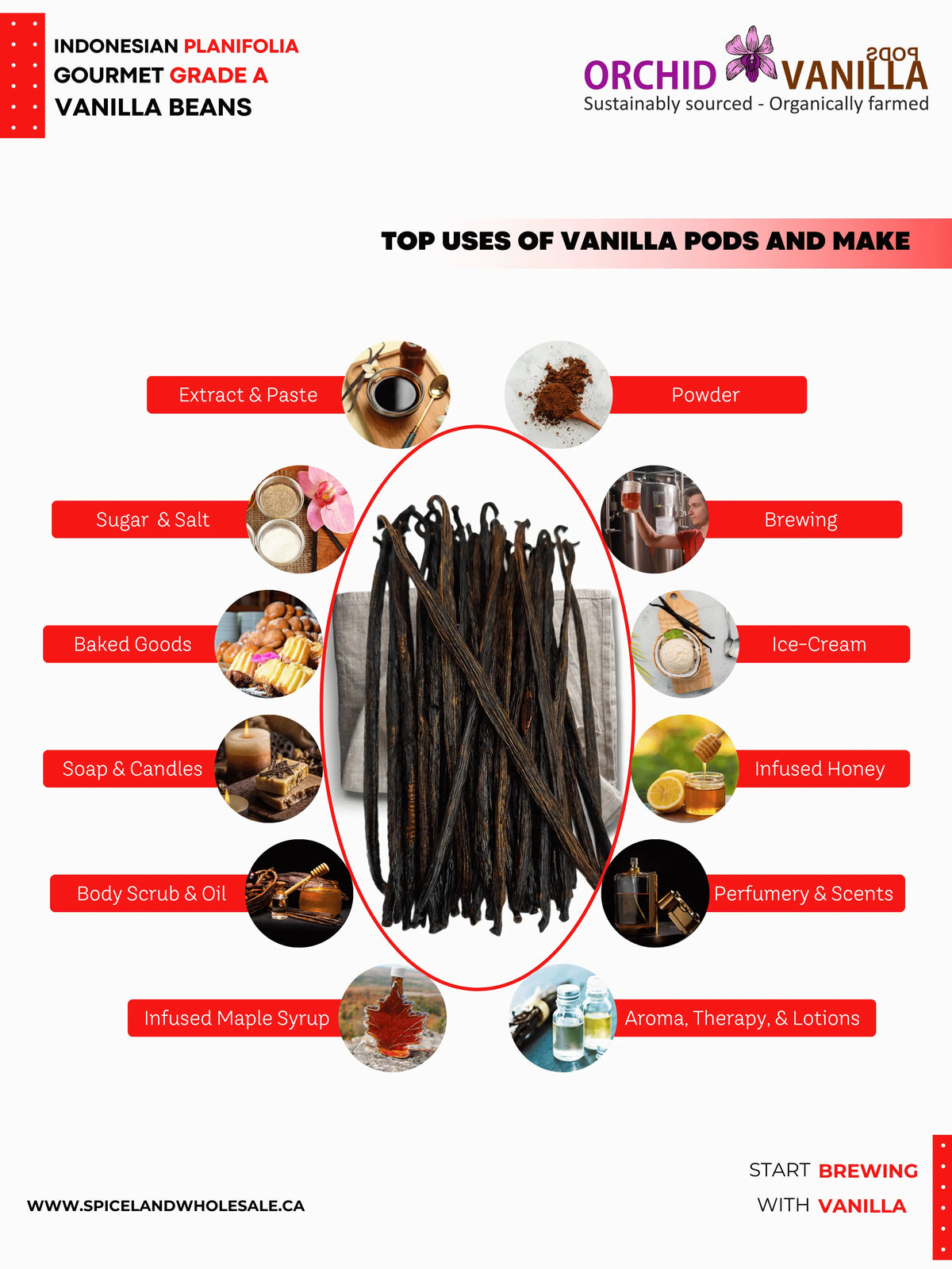 Indonesian Vanilla Beans (Sumatra) Planifolia Extract Grade-B <br>For Extract Making<BR>By Count