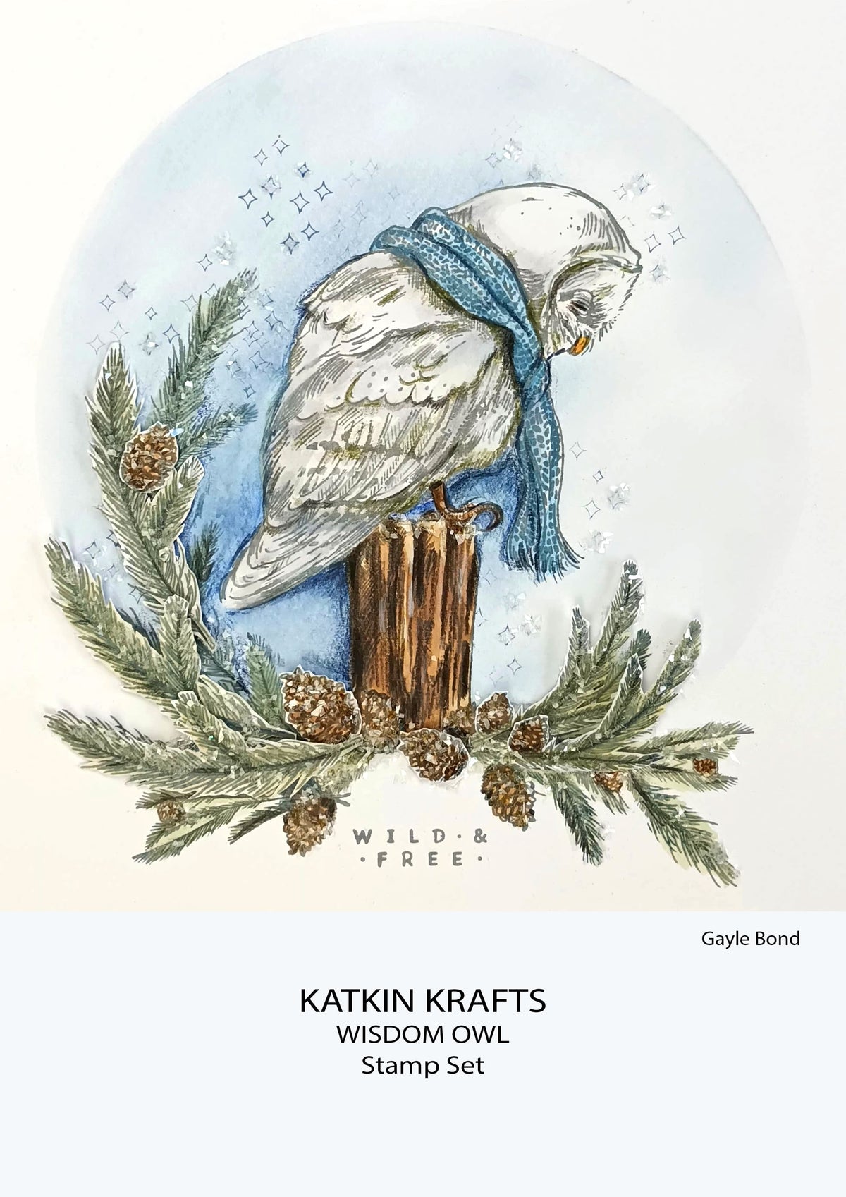 Katkin Krafts Chouette Sage 6 po x 8 po Ensemble de Tampons Transparents