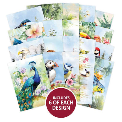 Le petit livre des beaux oiseaux