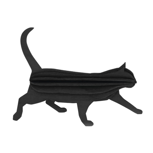 Lovi Cat