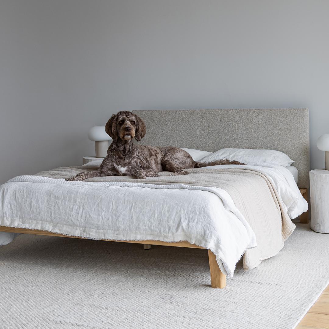 Lit queen rembourré Luna sans outils - Beige