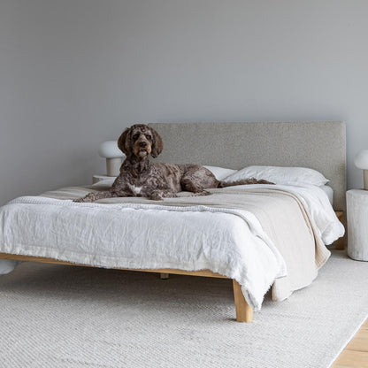 Lit queen rembourré Luna sans outils - Beige
