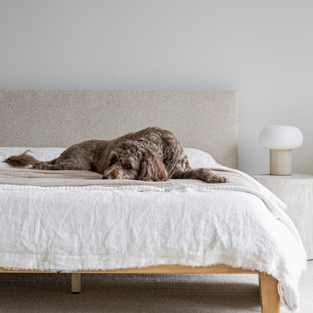 Lit queen rembourré Luna sans outils - Beige