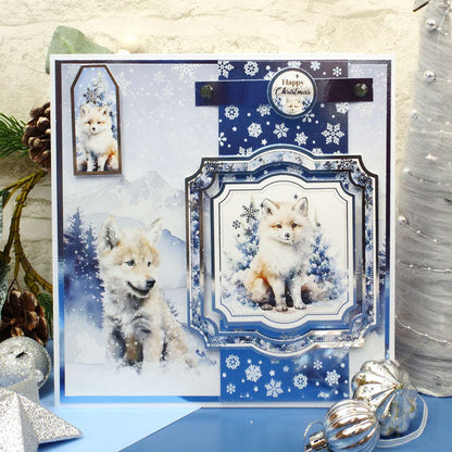 Sélection Mirri Adorable Neige