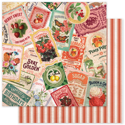 Meadowbrook Farm Basics 6x6 Paper Collection 35040