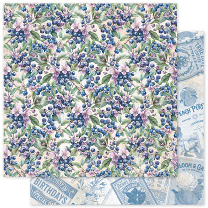 Meadowbrook Farm Patterns 6x6 Paper Collection 35085