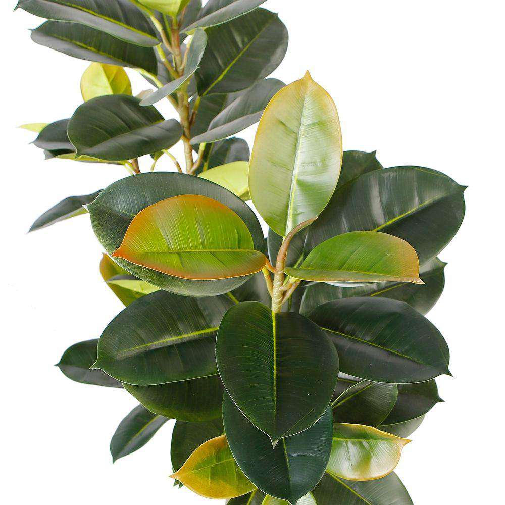 Plante artificielle en caoutchouc Nero en pot 1,5 m