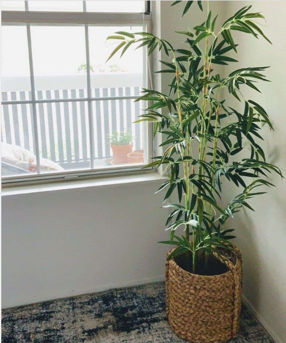Plante en pot Osos artificielle en bambou (plusieurs tailles)