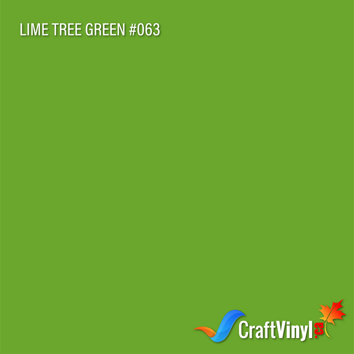 Oracal 651 Glossy Lime Tree Green Vinyl #063 12''x5ft