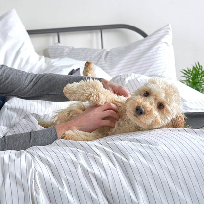 Housse de couette et taies d'oreiller en percale de coton bio essentielle