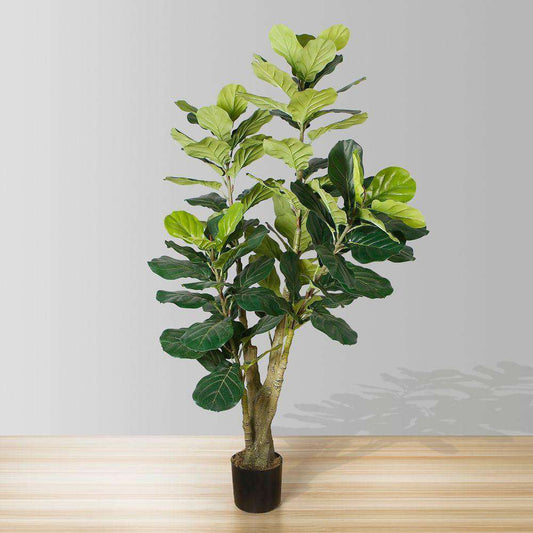 Pico Ficus Lyrata Artificiel en Pot 167 cm