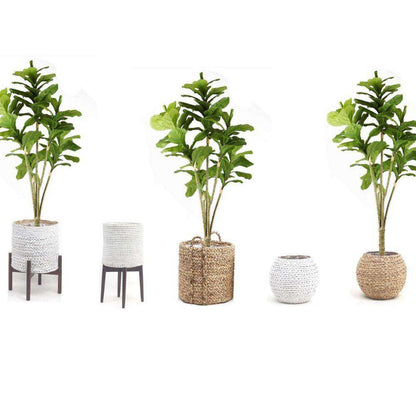 Plante d'intérieur artificielle en pot Fiddle Leaf Piña 1,5 m