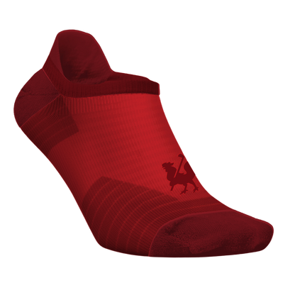 Chaussettes de performance - Courtes