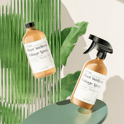 Vaporisateur pour feuillage Plant Wellness