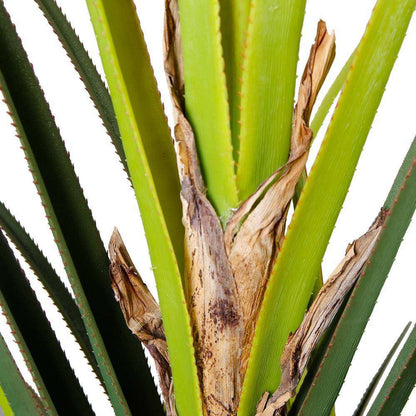Plante artificielle Ralu Aloe en pot (plusieurs tailles)