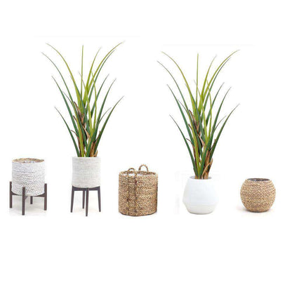 Plante artificielle Ralu Aloe en pot (plusieurs tailles)