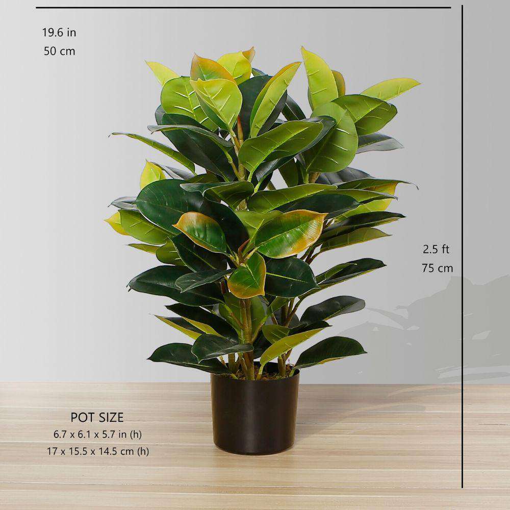Plante en pot Rubi en caoutchouc artificiel 2,5 pi
