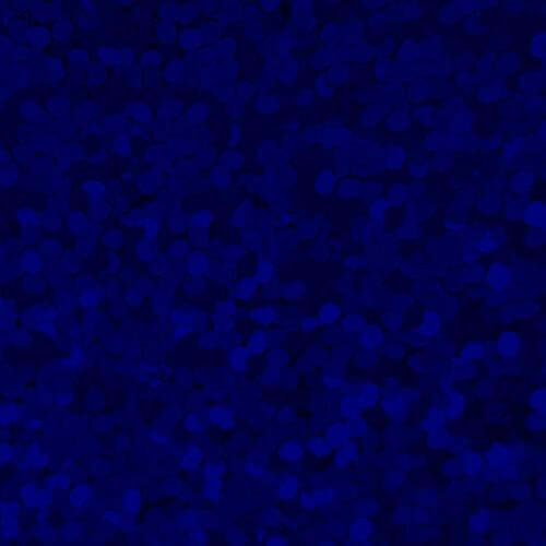 XVINYL Vinyle à Transfert Thermique Scintillant Holographique (Bleu Royal), 30x25cm, 5 Feuilles