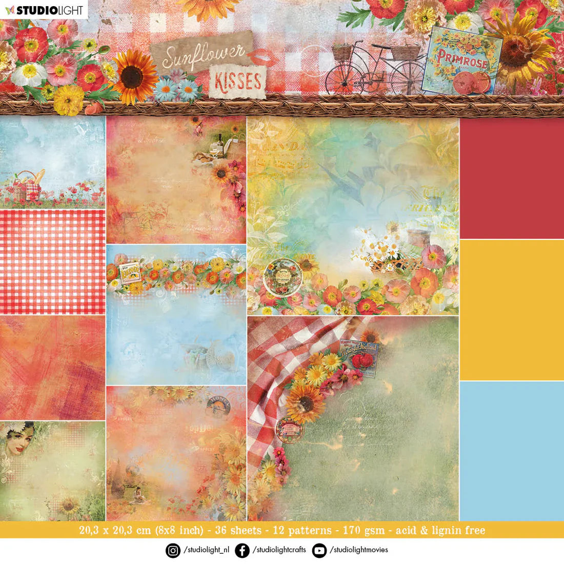 Ensemble de Fleurs Lumineuses de Studio