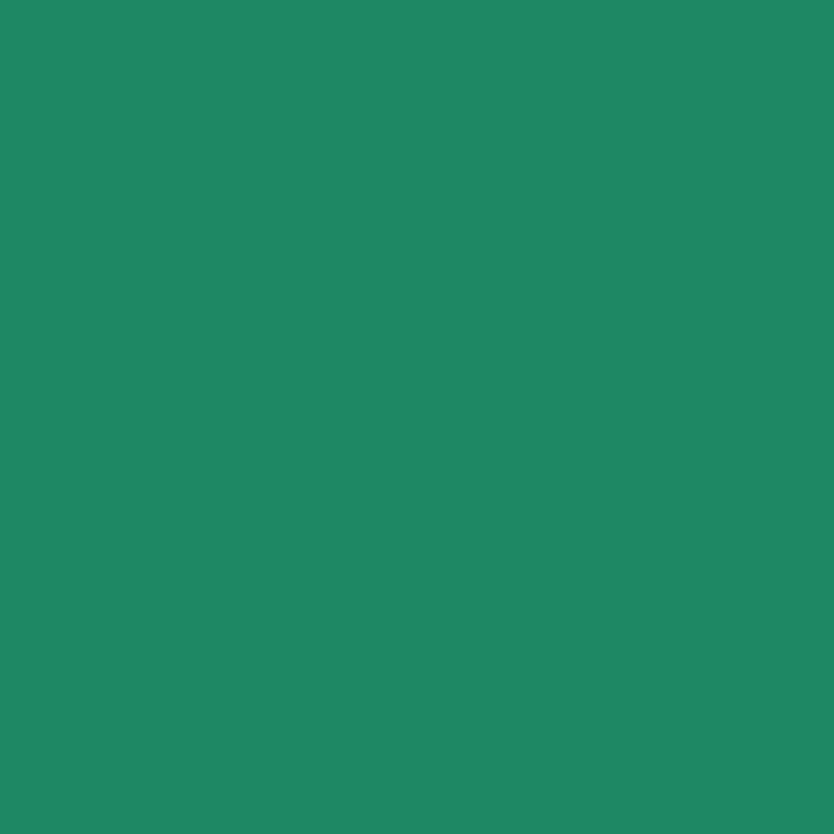 Rouleau Siser Easyweed Vert Cadette 30,48 cm x 4,57 m
