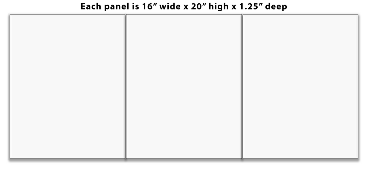 Split canvas prints 3 panels Triptych 16" x 20" each Panel