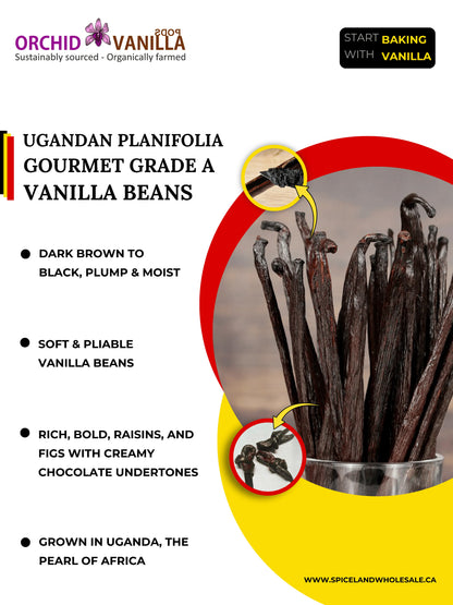 Gousses de vanille de Madagascar Grade A Gourmet <br>Pour extraits et pâtisseries<BR>Au kilo