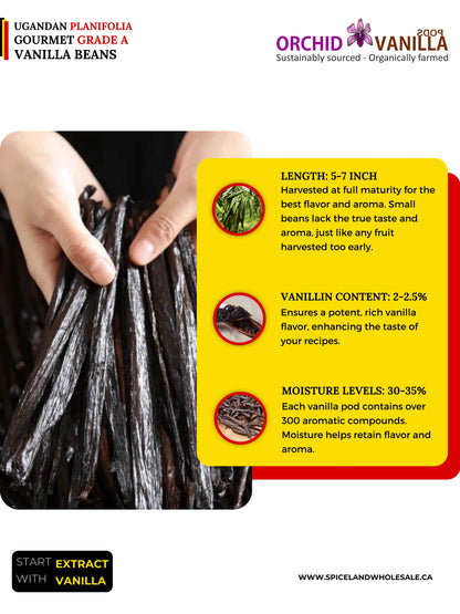 Gousses de vanille de Madagascar Grade A Gourmet <br>Pour extraits et pâtisseries<BR>Au kilo