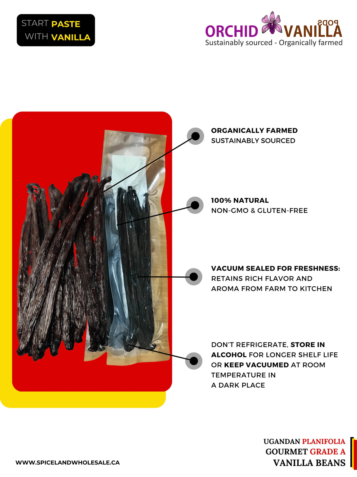 Gousses de vanille de Madagascar Grade A Gourmet <br>Pour extraits et pâtisseries<BR>Au kilo