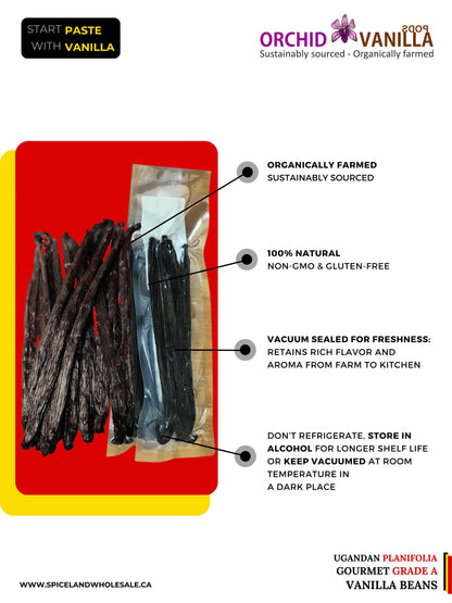 Gousses de vanille de Madagascar Grade A Gourmet <br>Pour extraits et pâtisseries<BR>Au kilo