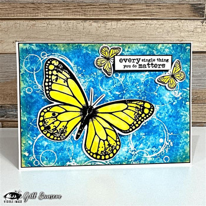 Visible Image Butterfly Effect Co-ordinating Dies