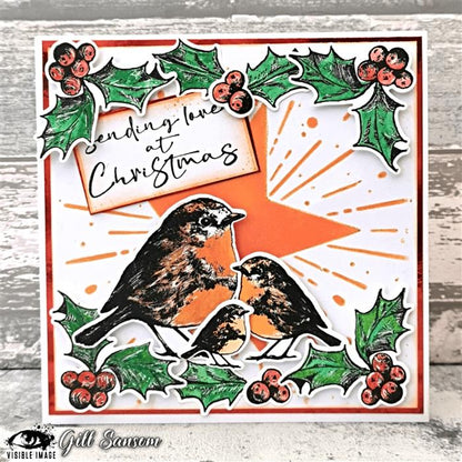 Visible Image Christmas Robin - A6 Stamp Set