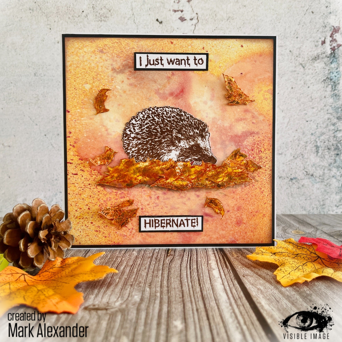 Visible Image Hedgehog Hugs - Lot de tampons A6