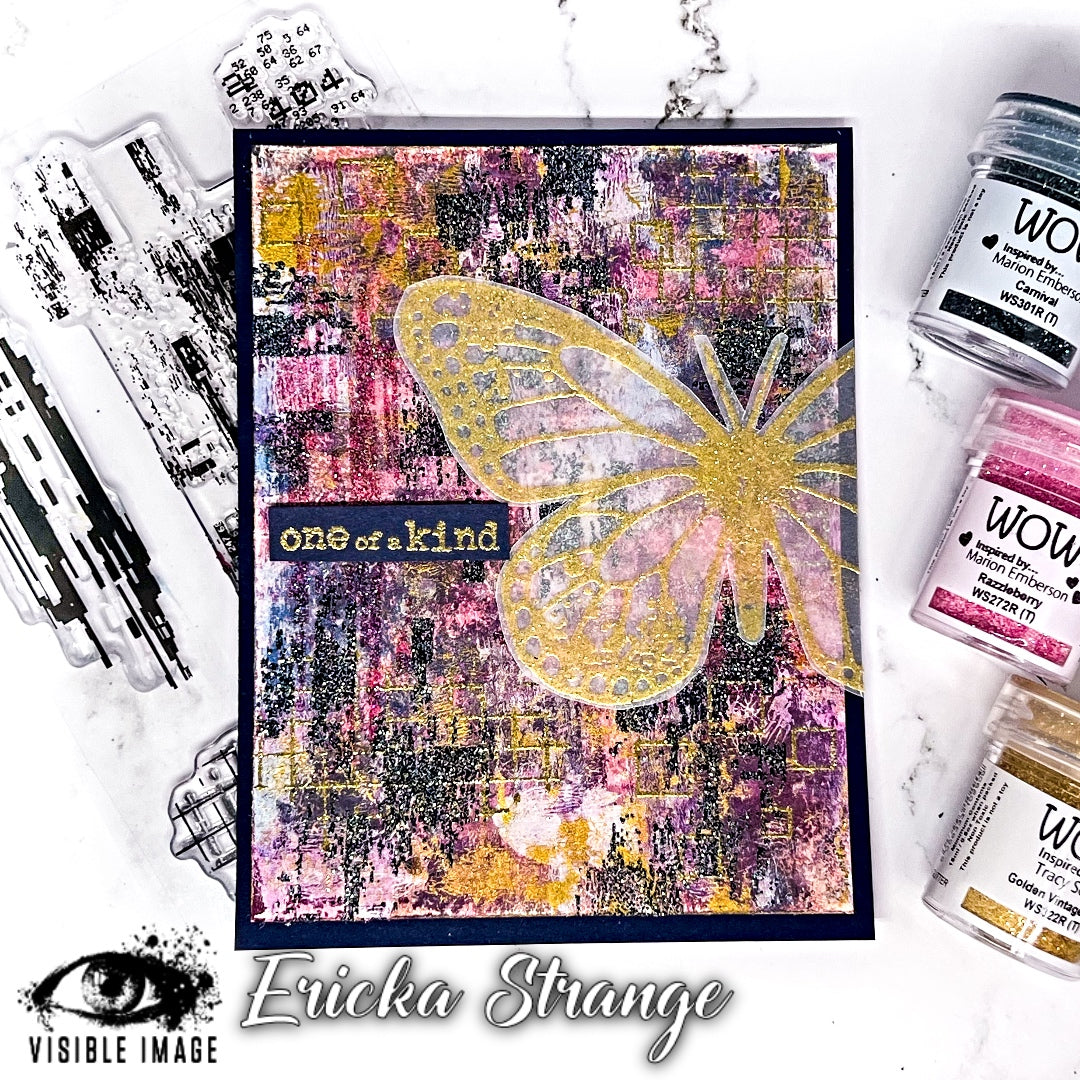 Anomalie de transmission de l'image visible - Kit de tampons A6