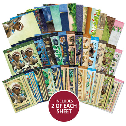 Collection Deco-Large "Into The Wild Designer"
