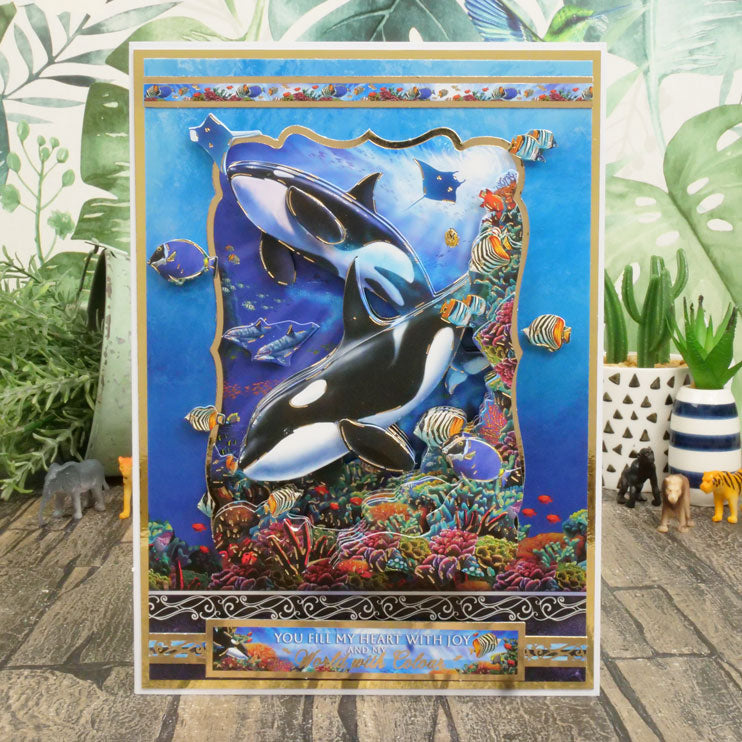 Collection Deco-Large "Into The Wild Designer"