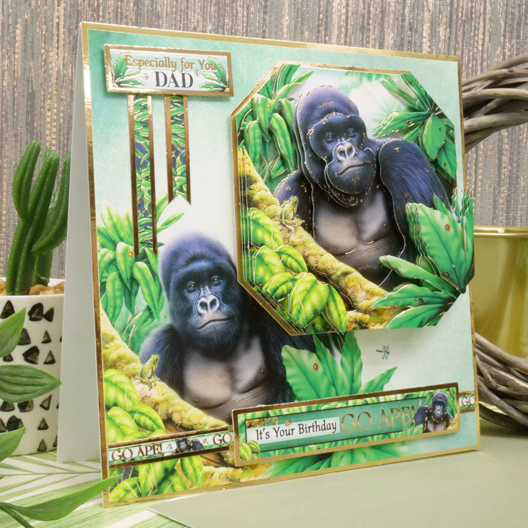 Kit Déco-Large Into The Wild - Go Ape
