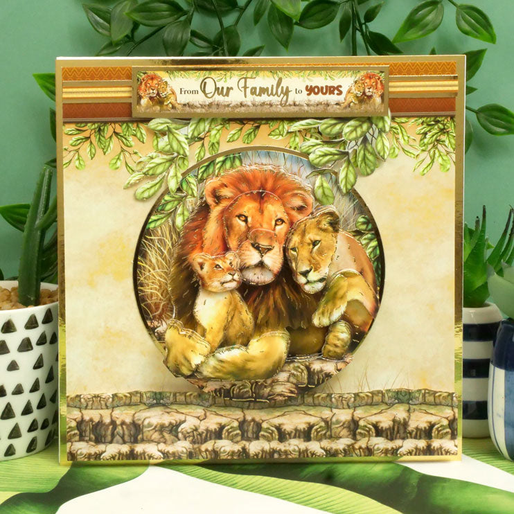 Collection Deco-Large "Into The Wild Designer"