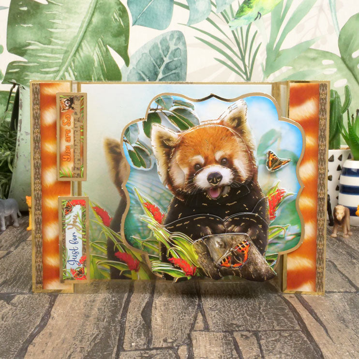 Collection Deco-Large "Into The Wild Designer"
