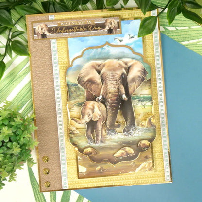 Collection Deco-Large "Into The Wild Designer"