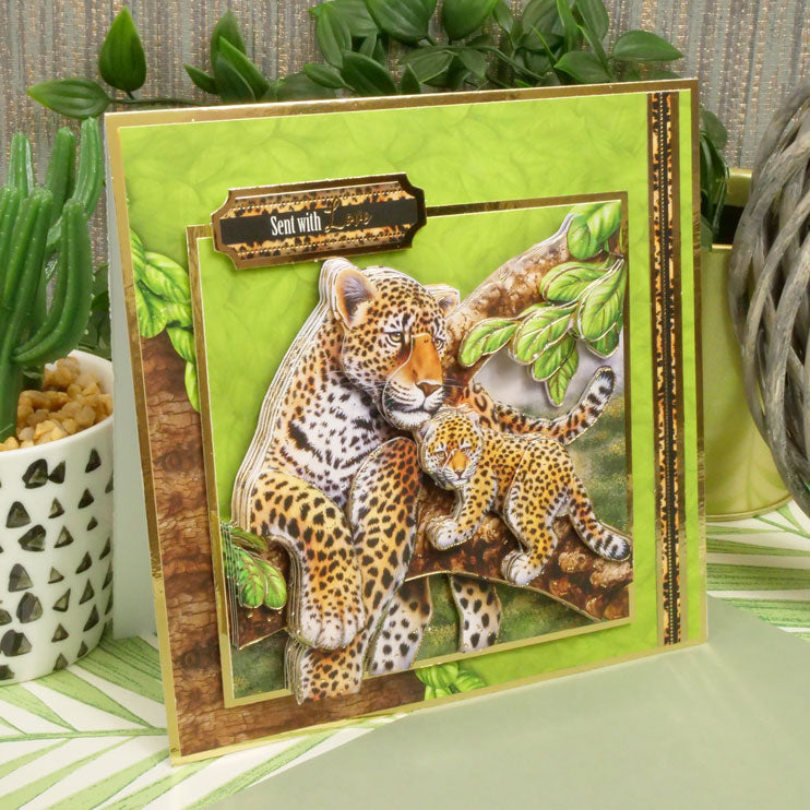 Collection Deco-Large "Into The Wild Designer"