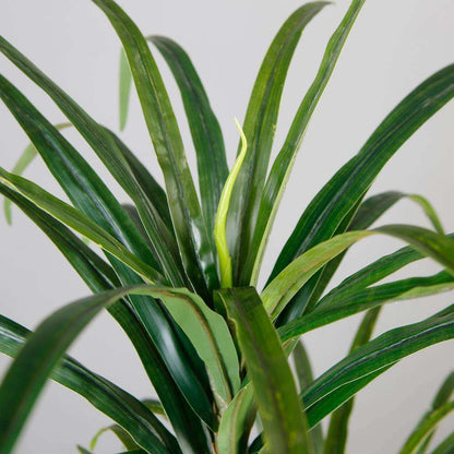 Plante en Pot Artificielle Yulu Century (Plusieurs Tailles)