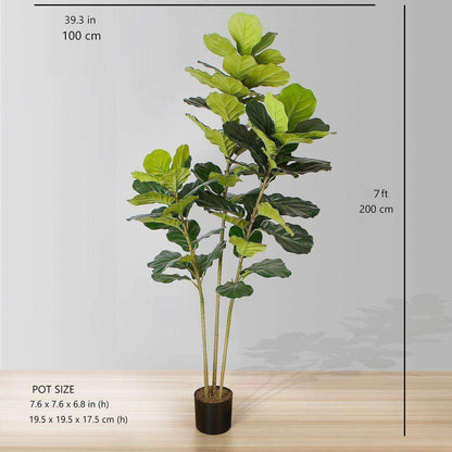 Plante artificielle en pot Alva Fiddle Leaf (Plusieurs tailles)