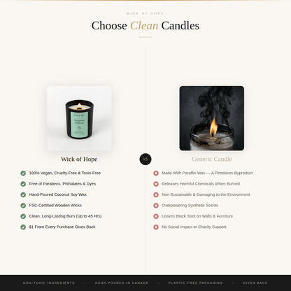 Sunlit Grove Candle | Lemon + Musk
