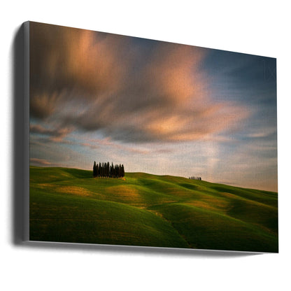 Wall art Fields...